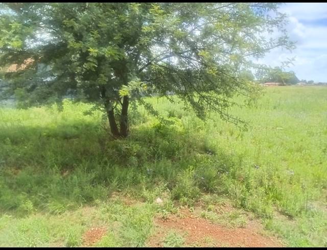 1,000M² VACANT LAND FOR SALE IN KOOKRUS
